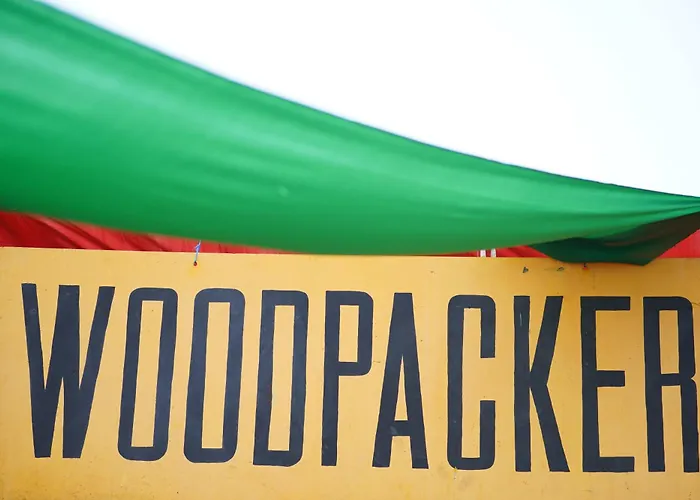 Woodpacker Hostel Auroville Pondicherry